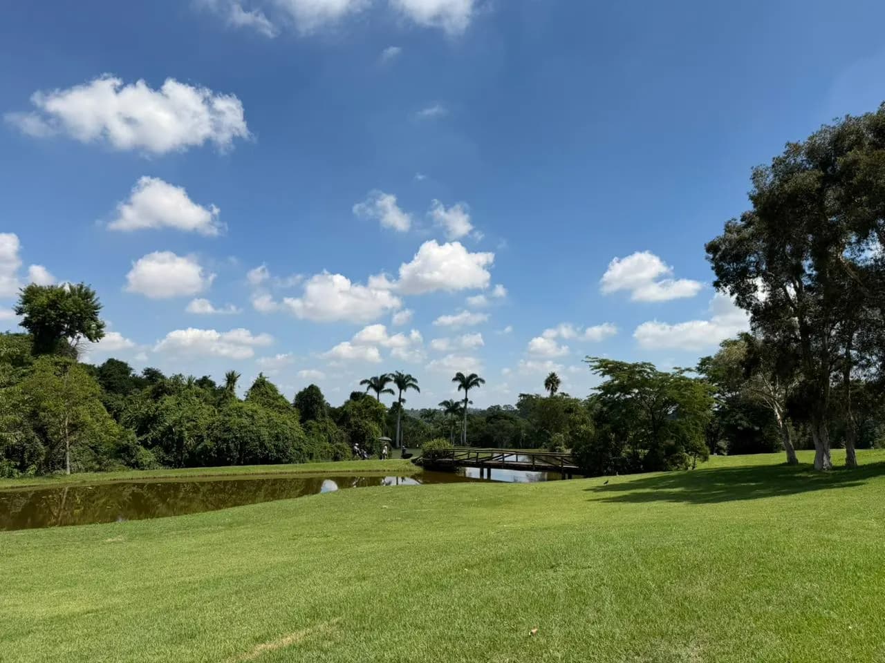 Vista panorâmica do campo
