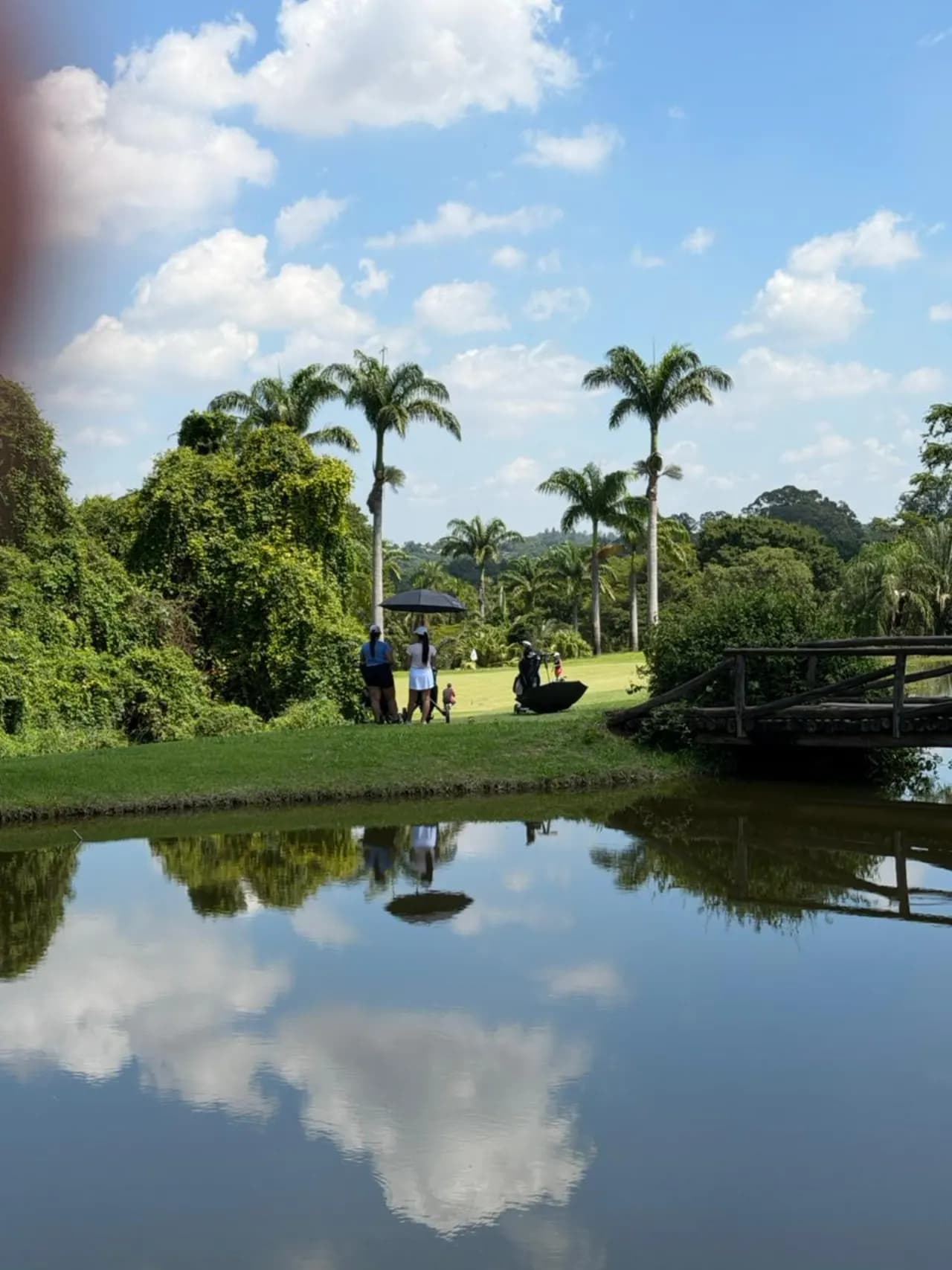 Lago e ponte com palmeiras